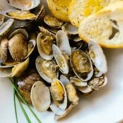 Deliciosas almejas al ajillo, servidas en un plato blanco con pan tostado y un toque de cebollino.