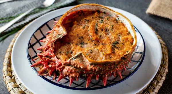 Txangurro a la donostiarra, un delicioso relleno de marisco gratinado dentro de su propio caparazón, listo para ser disfrutado.