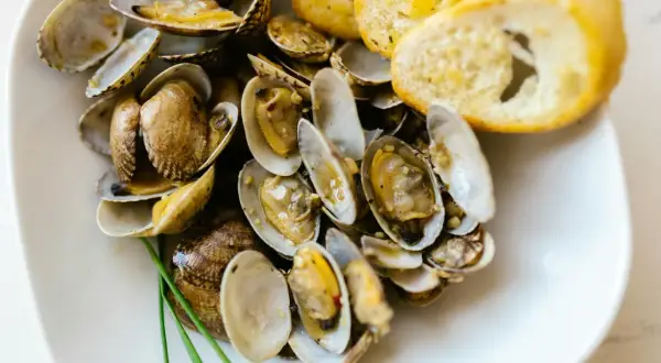 Deliciosas almejas al ajillo, servidas en un plato blanco con pan tostado y un toque de cebollino.