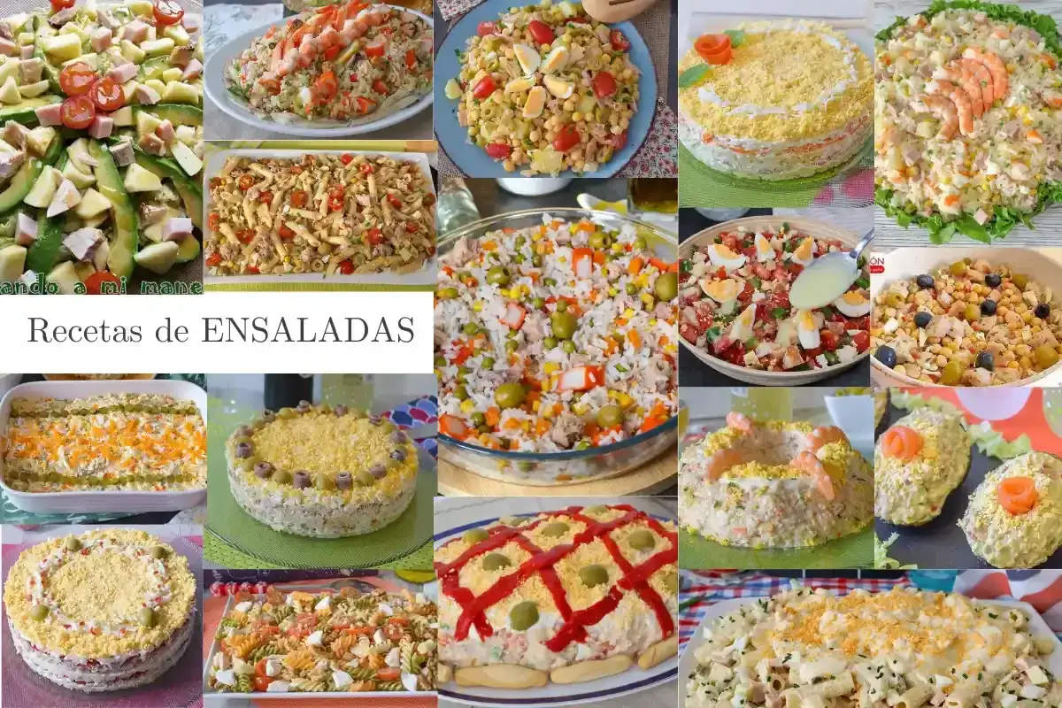 Tipos de ensaladas y cómo elegir la mejor para cada ocasión